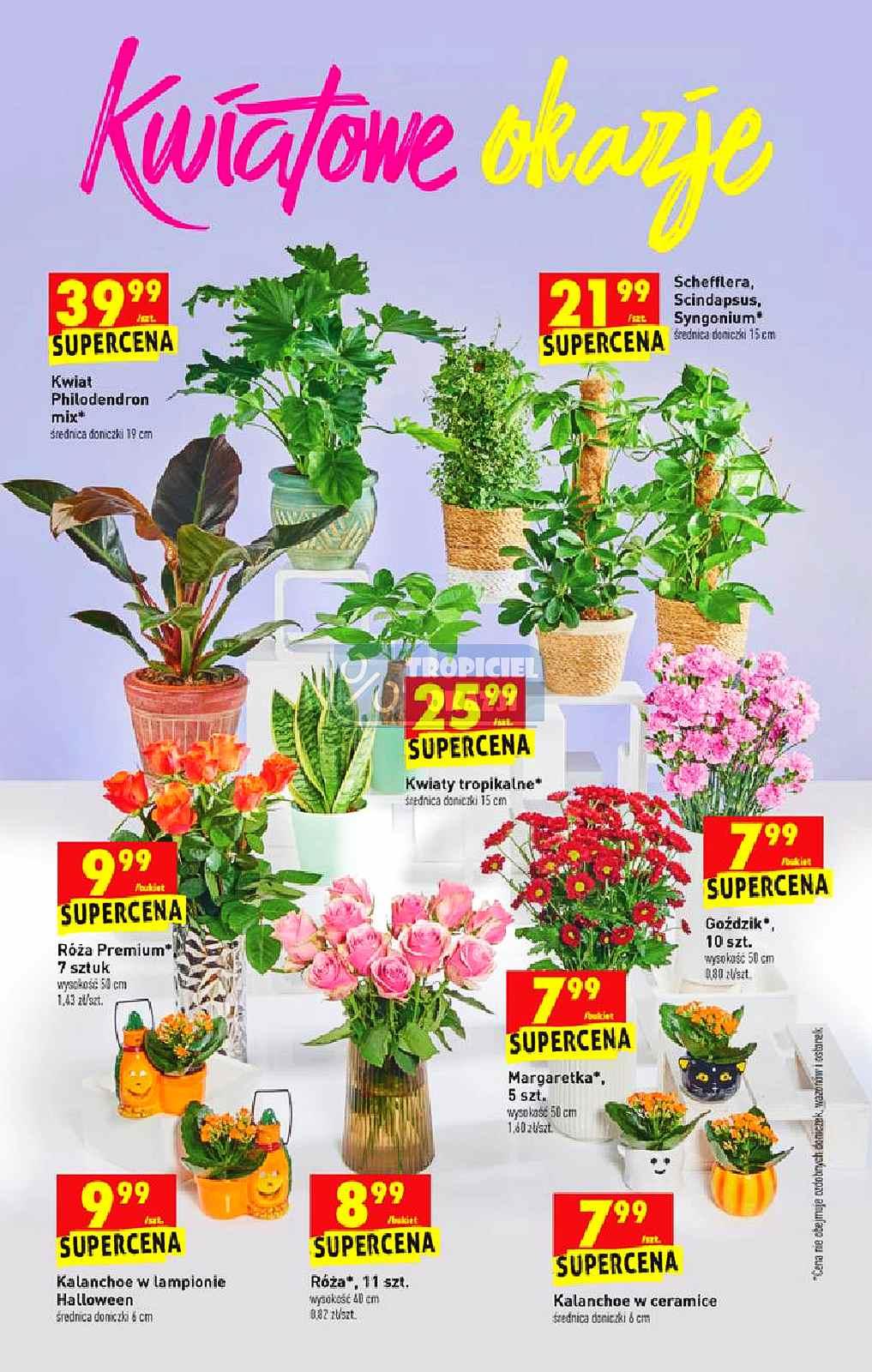 Gazetka promocyjna Biedronka str. 56