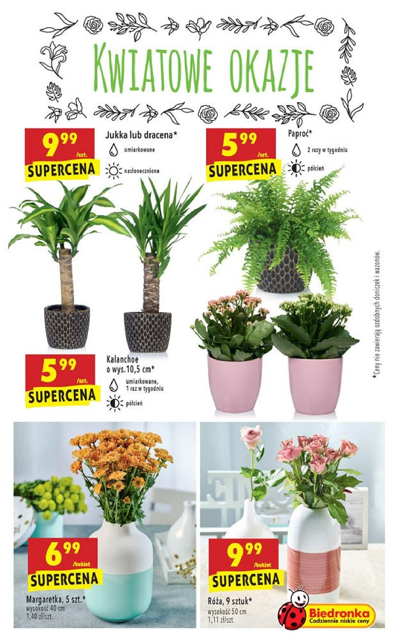 Gazetka promocyjna Biedronka str. 47