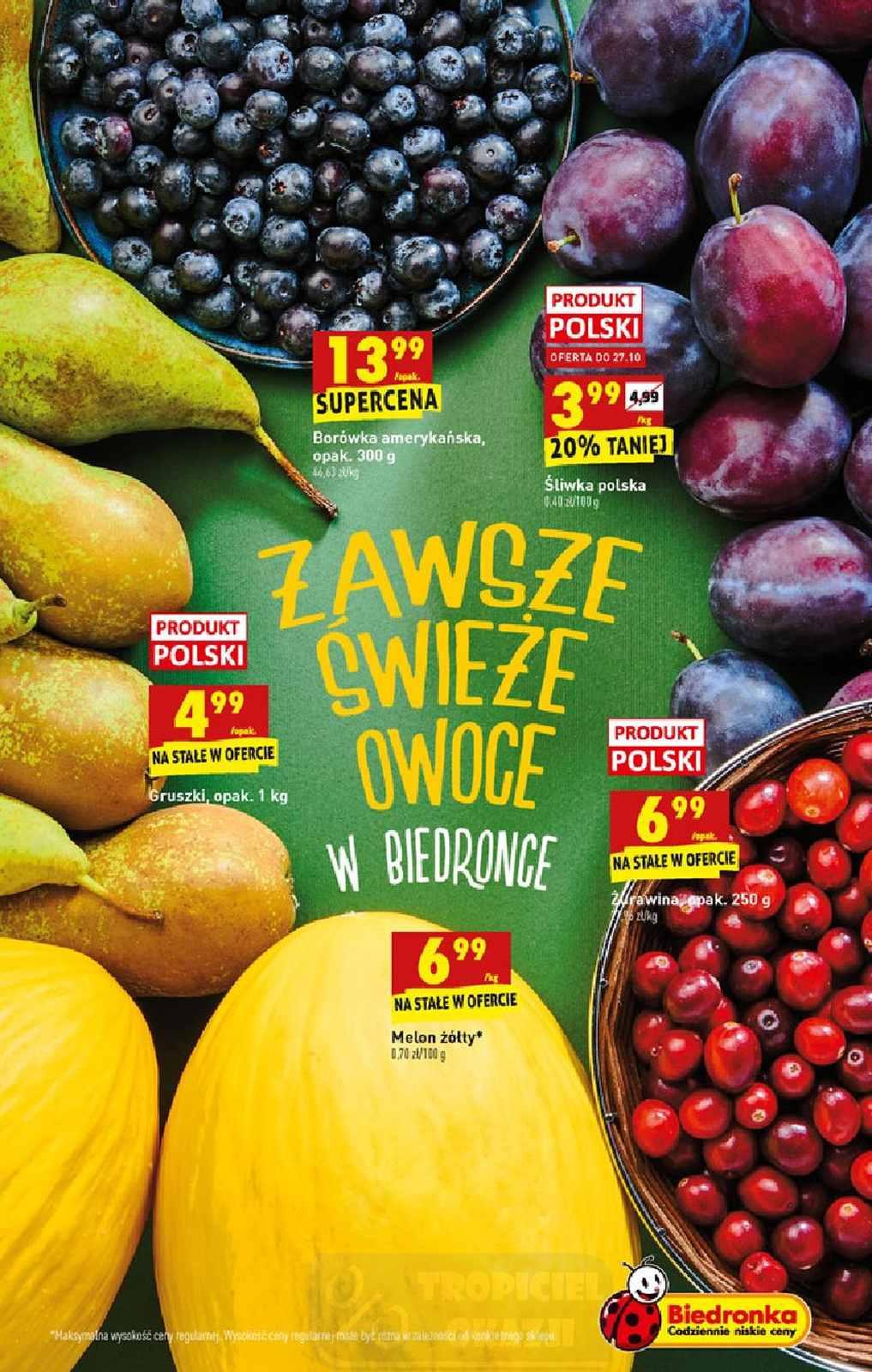 Gazetka promocyjna Biedronka str. 15