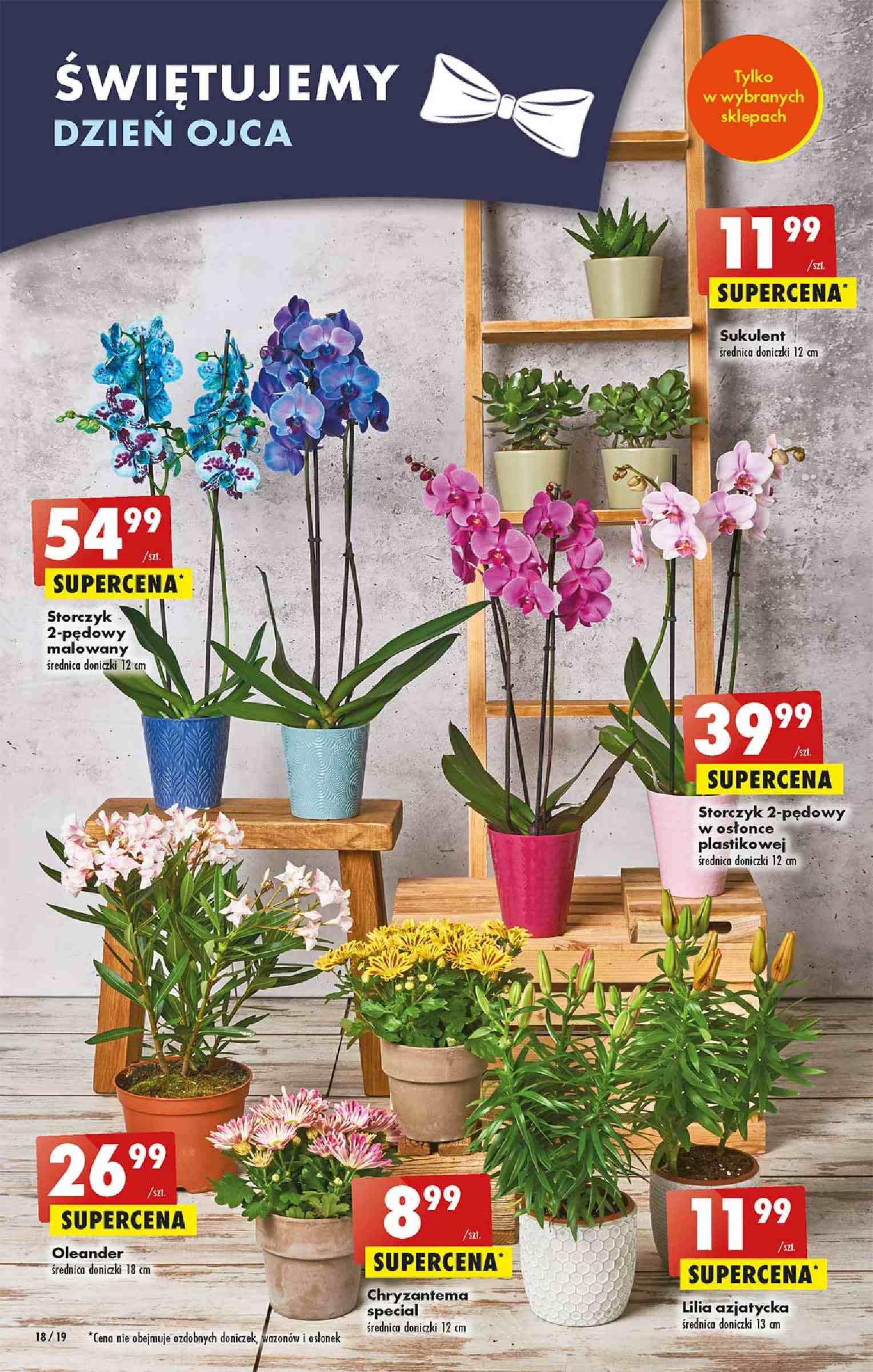 Gazetka promocyjna Biedronka str. 18