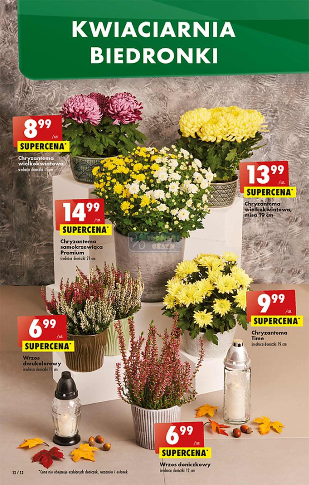 Gazetka promocyjna Biedronka str. 11