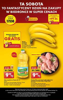 Gazetka Biedronka