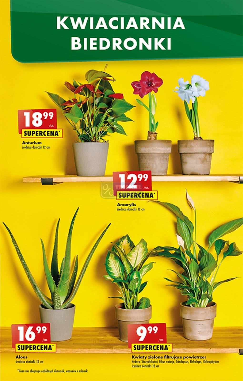 Gazetka promocyjna Biedronka str. 21