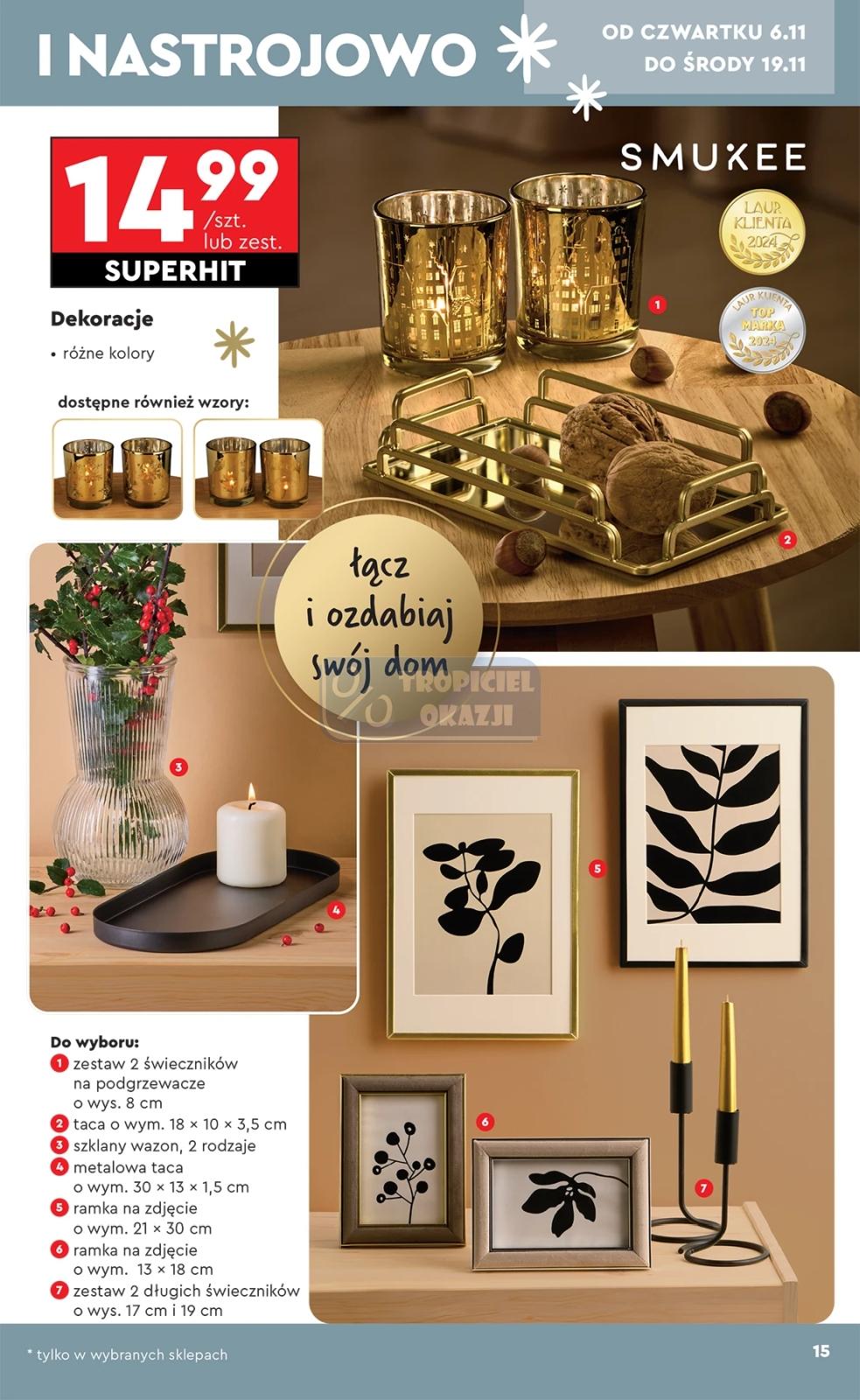 Gazetka promocyjna Biedronka str. 15