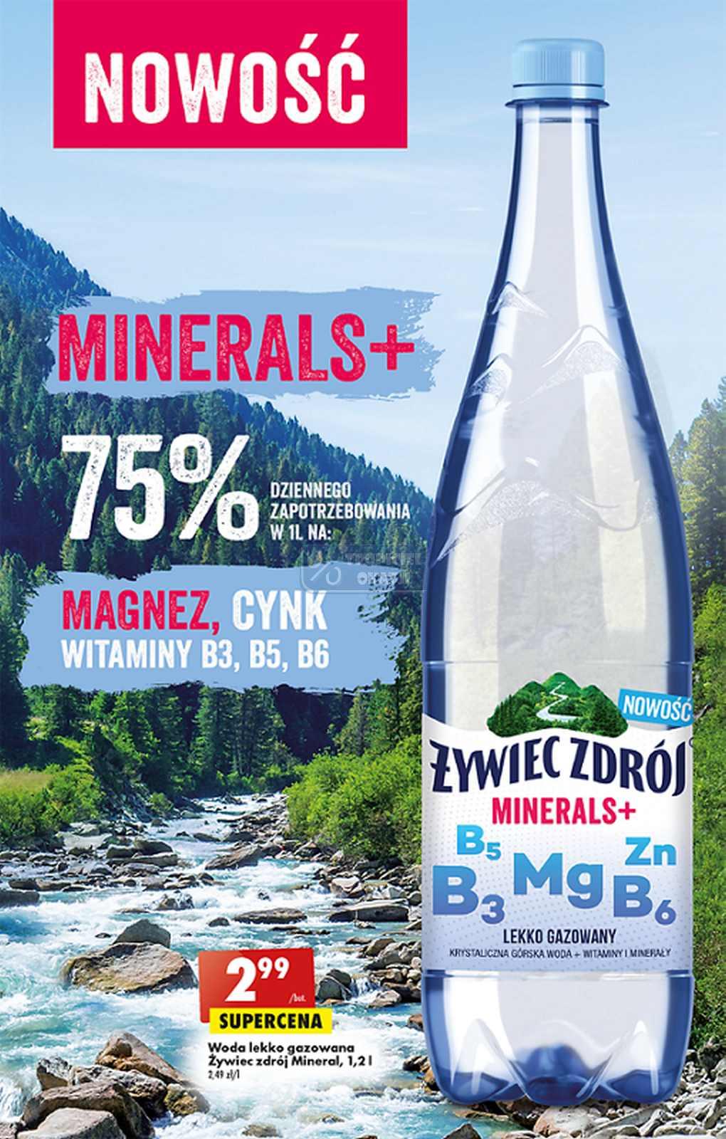 Gazetka promocyjna Biedronka str. 49