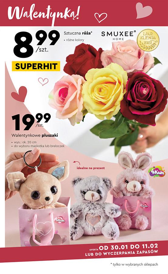 Gazetka promocyjna Biedronka str. 15