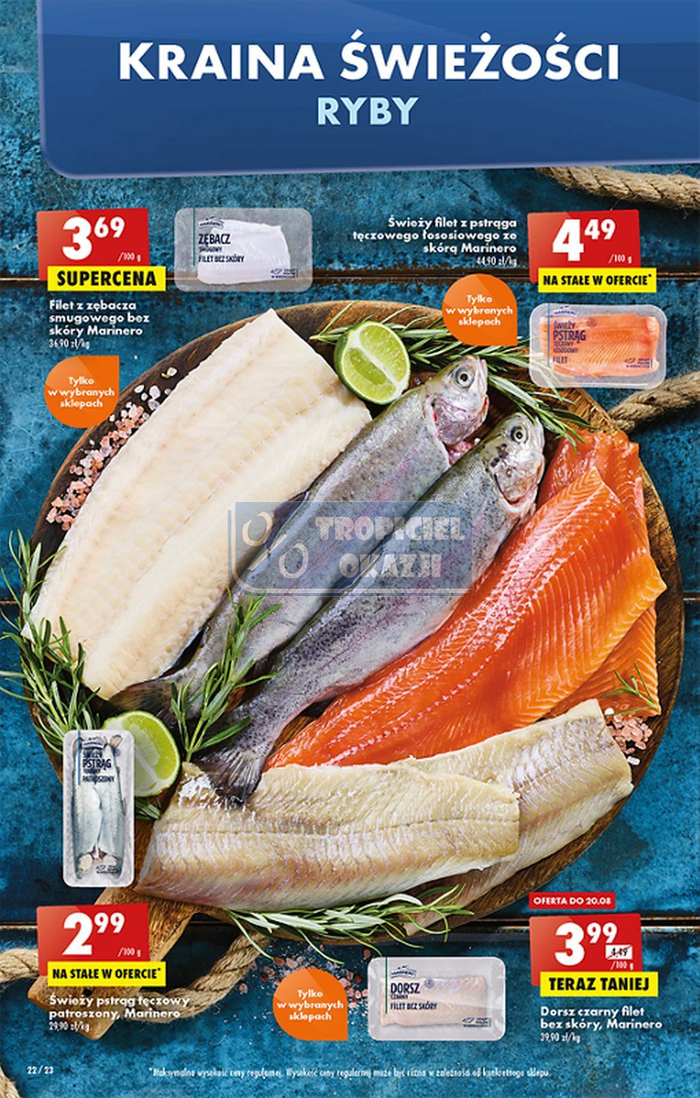 Gazetka promocyjna Biedronka str. 22