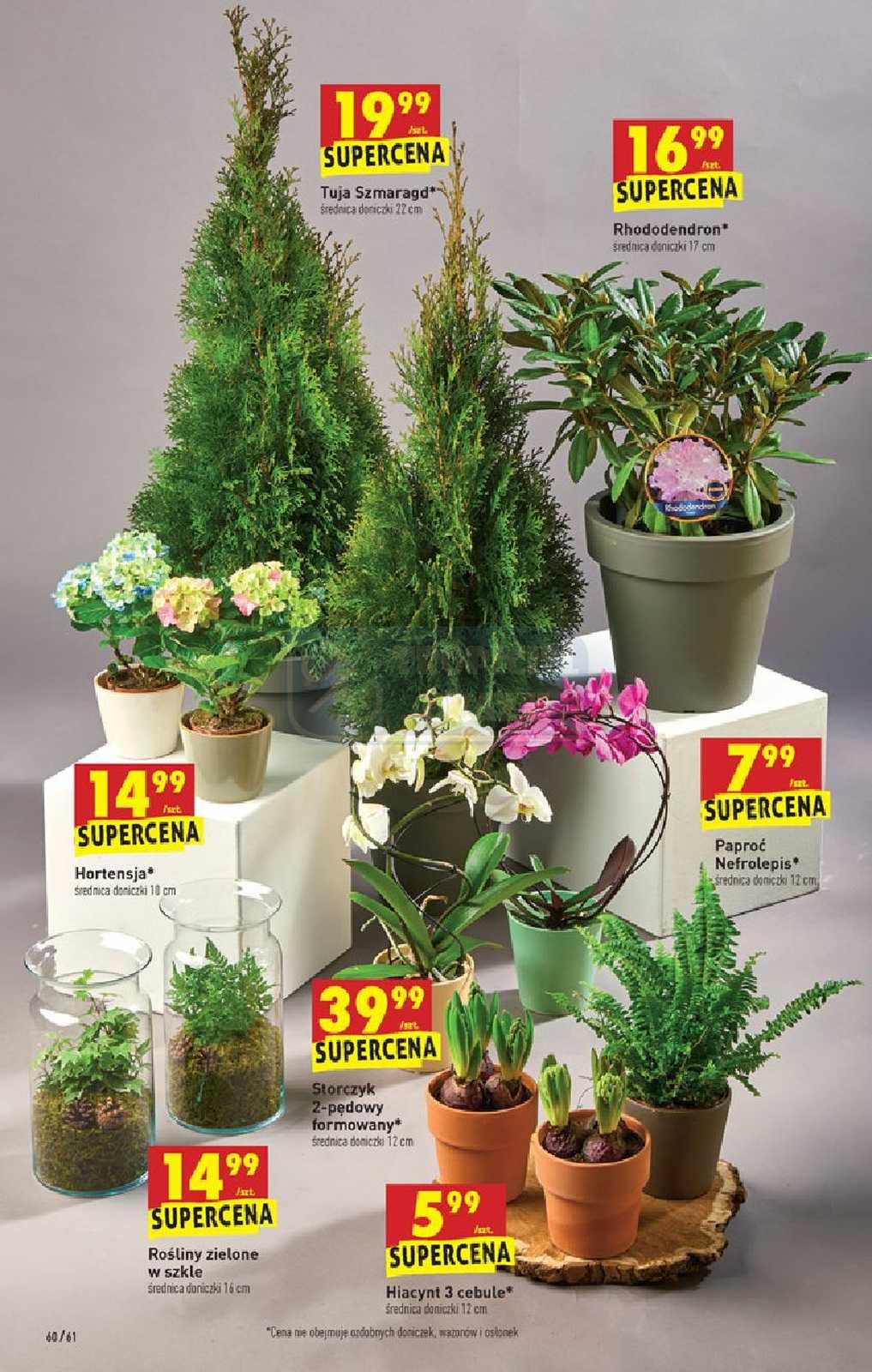 Gazetka promocyjna Biedronka str. 60