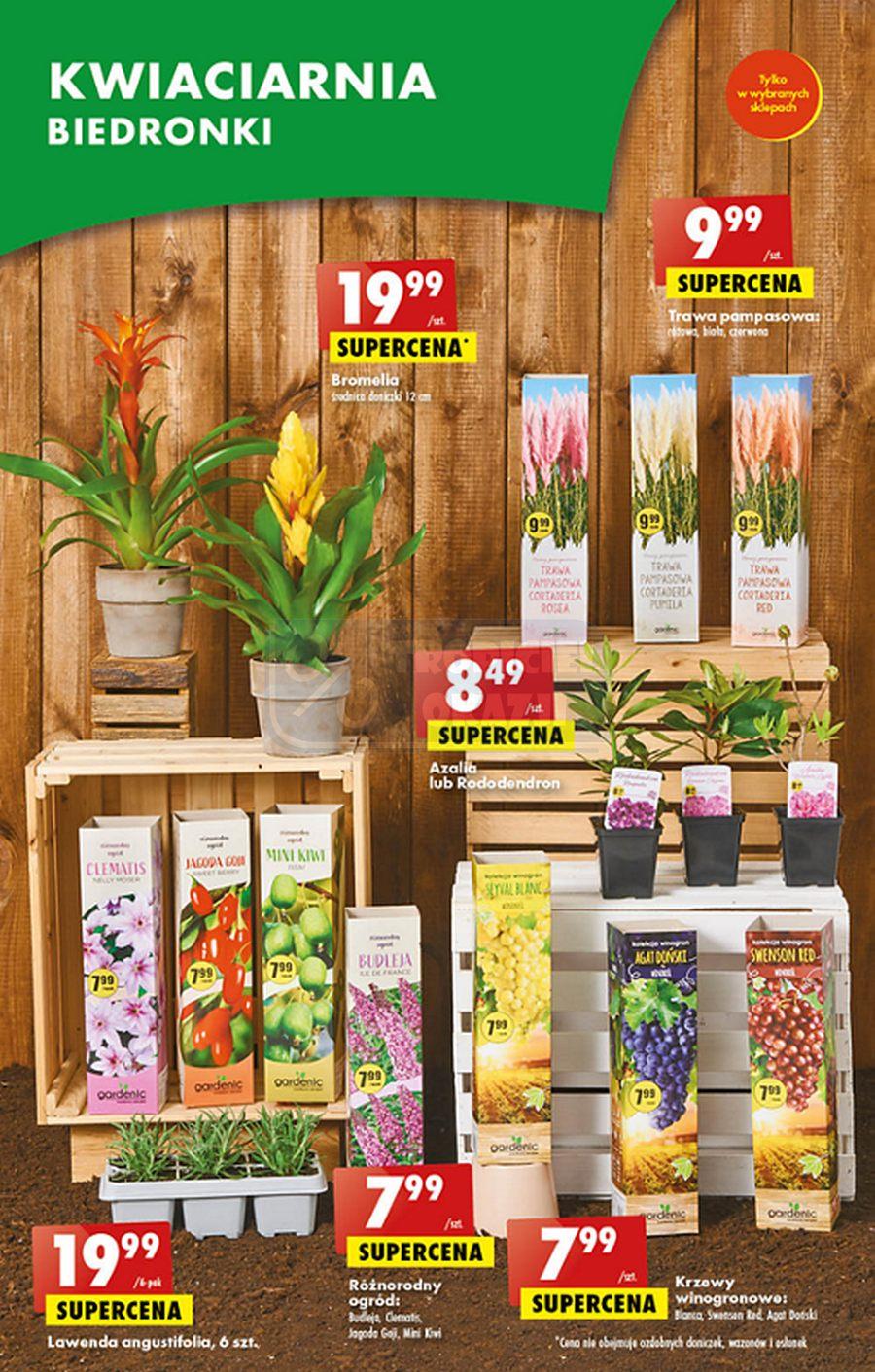 Gazetka promocyjna Biedronka str. 49