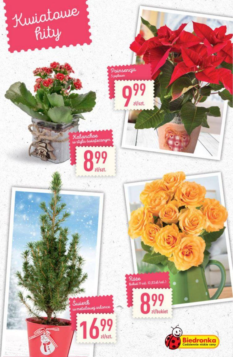 Gazetka promocyjna Biedronka str. 20