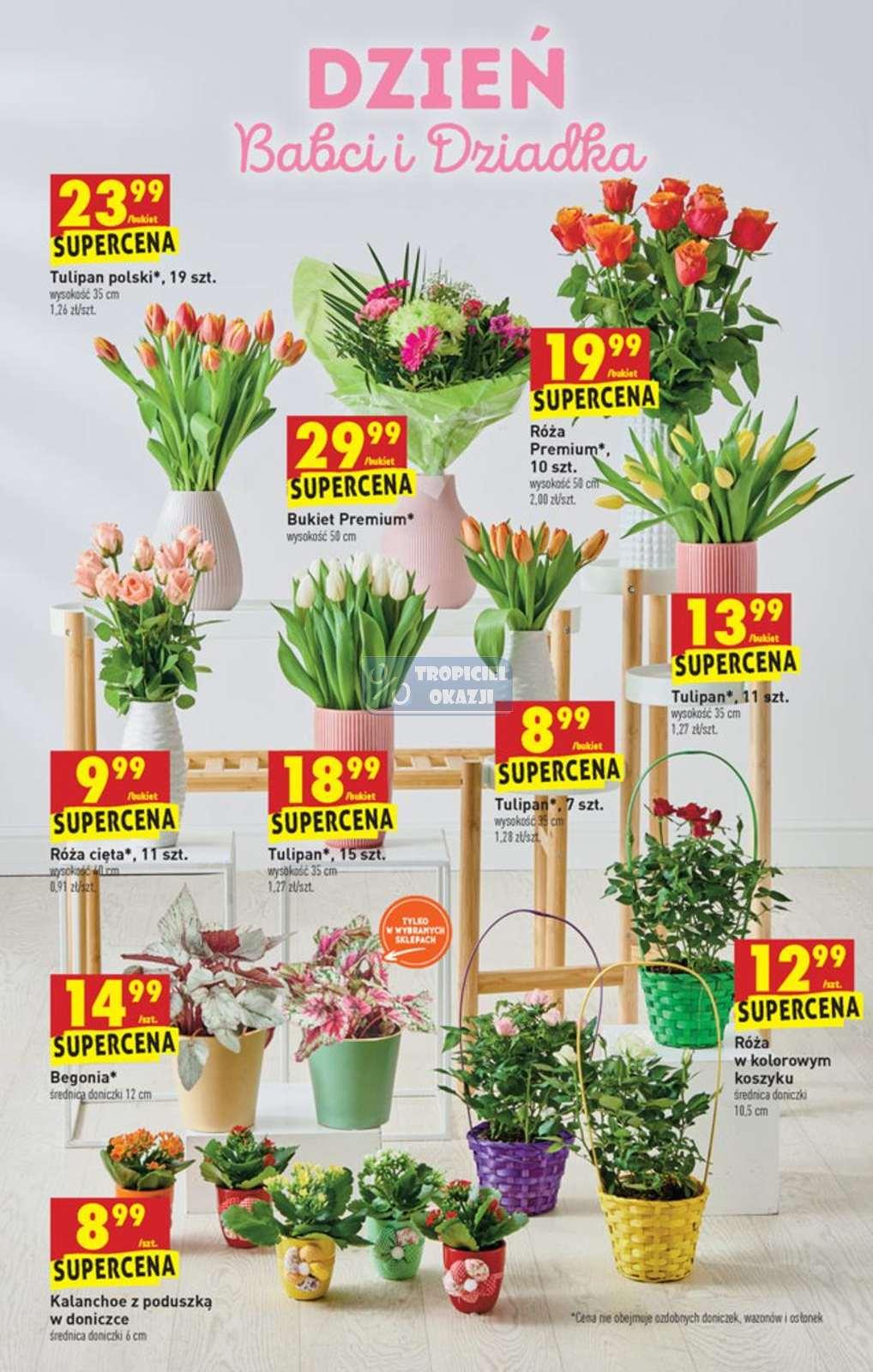 Gazetka promocyjna Biedronka str. 51