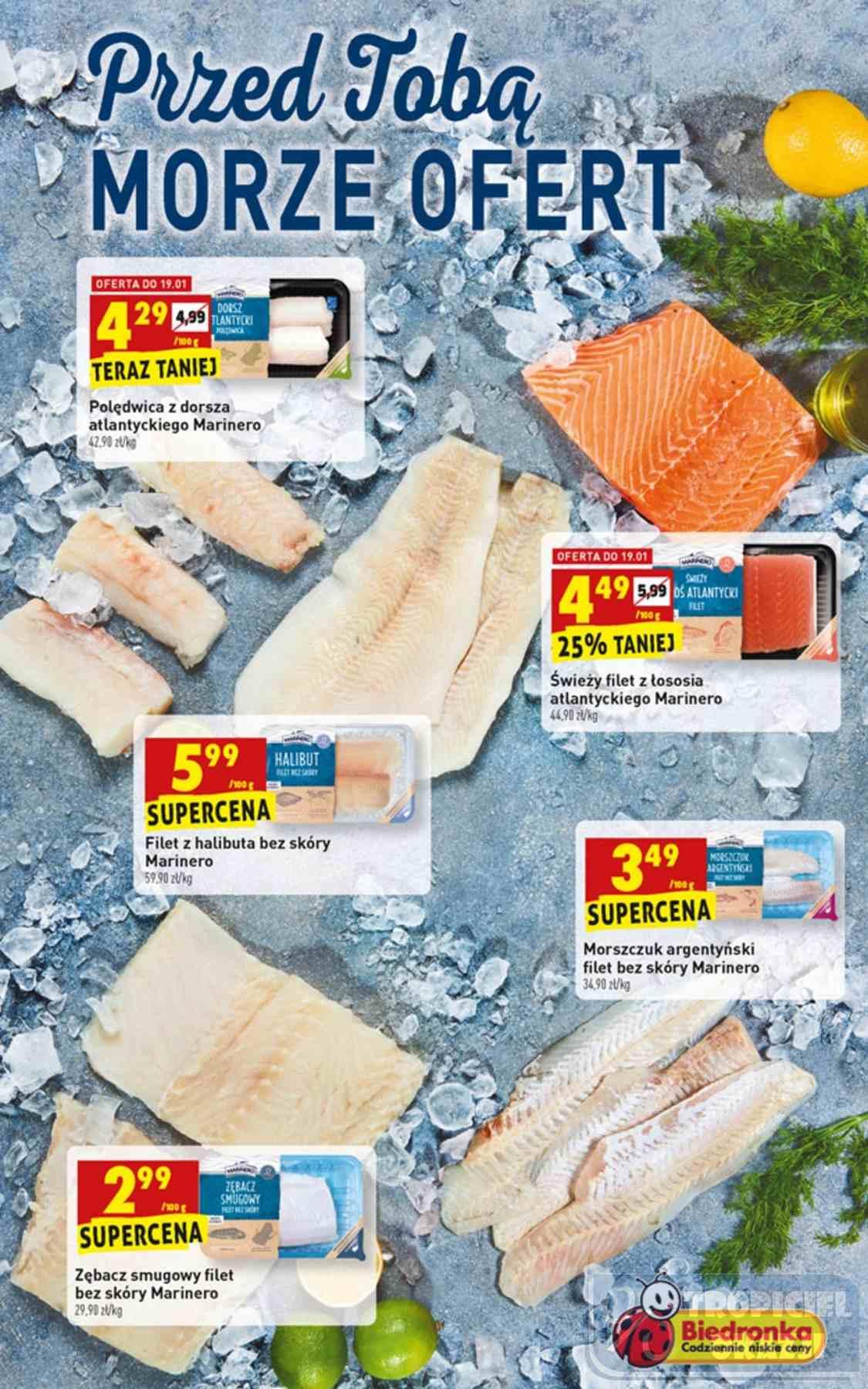 Gazetka promocyjna Biedronka str. 7