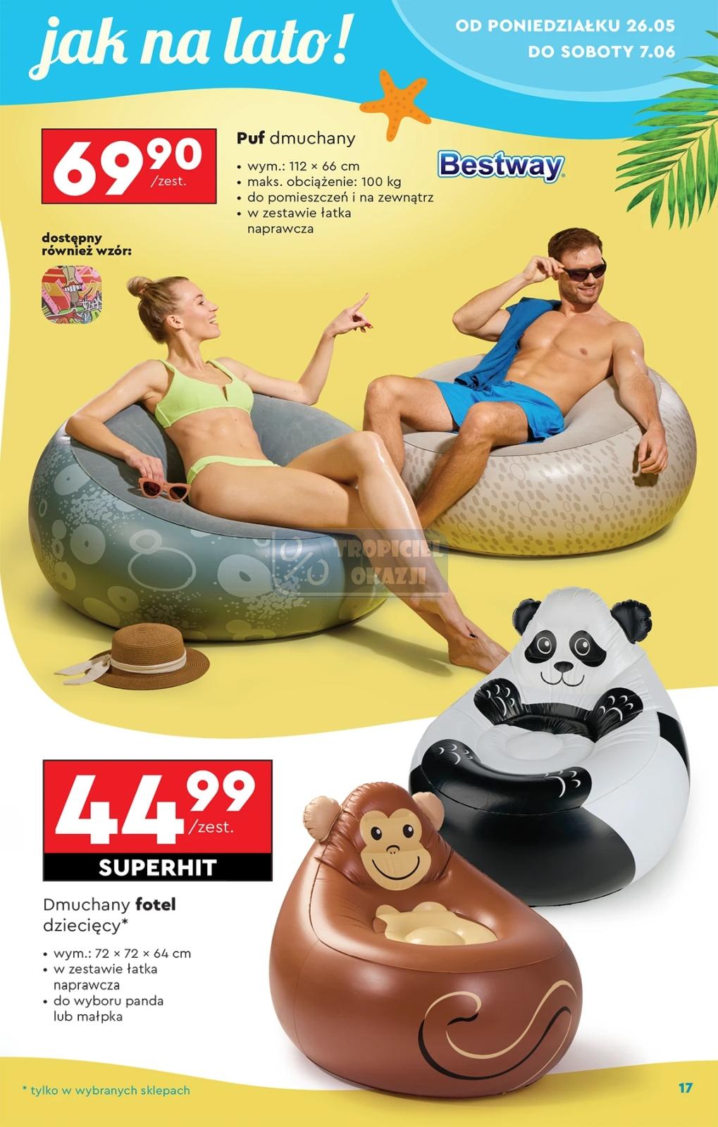 Gazetka promocyjna Biedronka str. 17