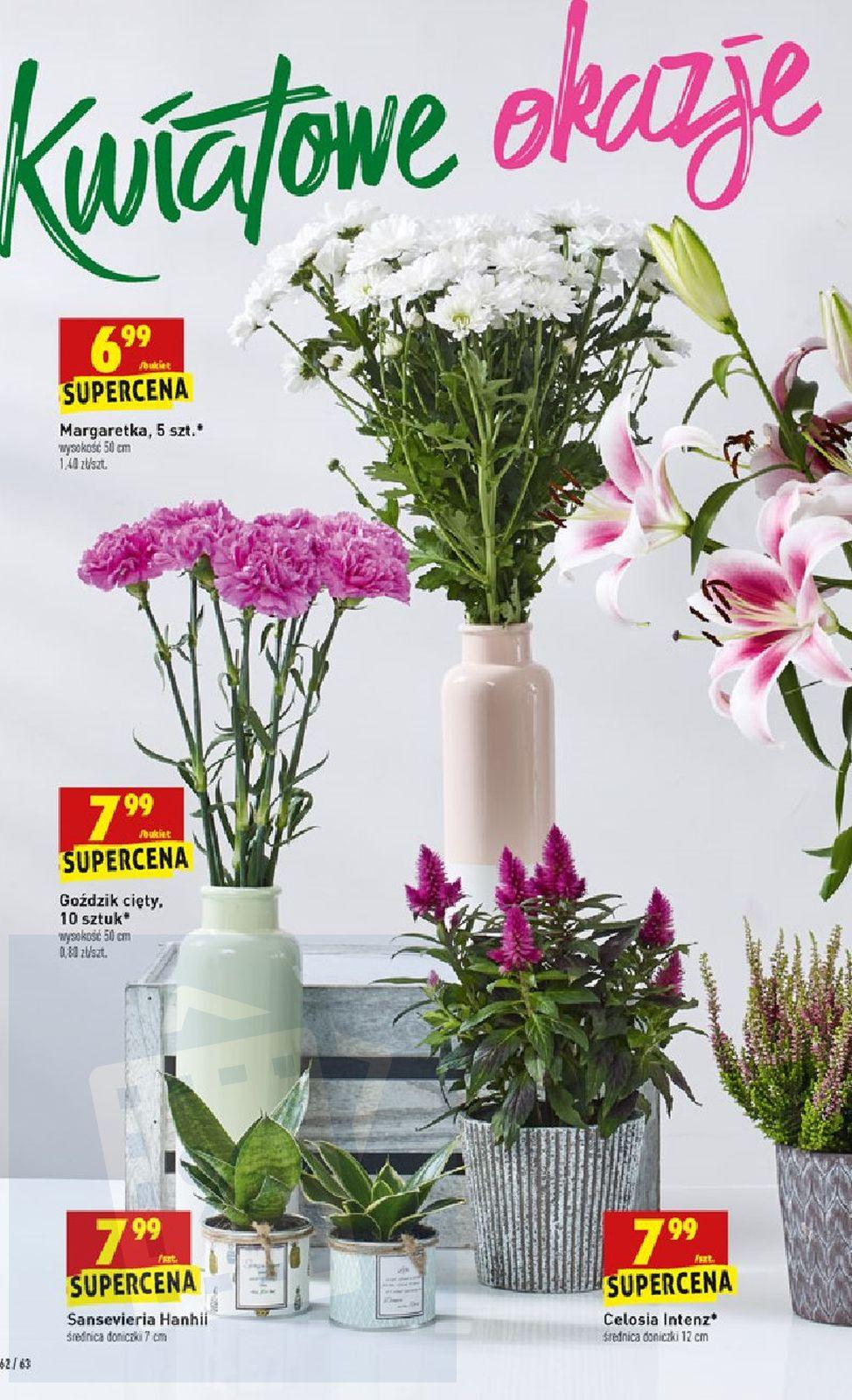 Gazetka promocyjna Biedronka str. 62