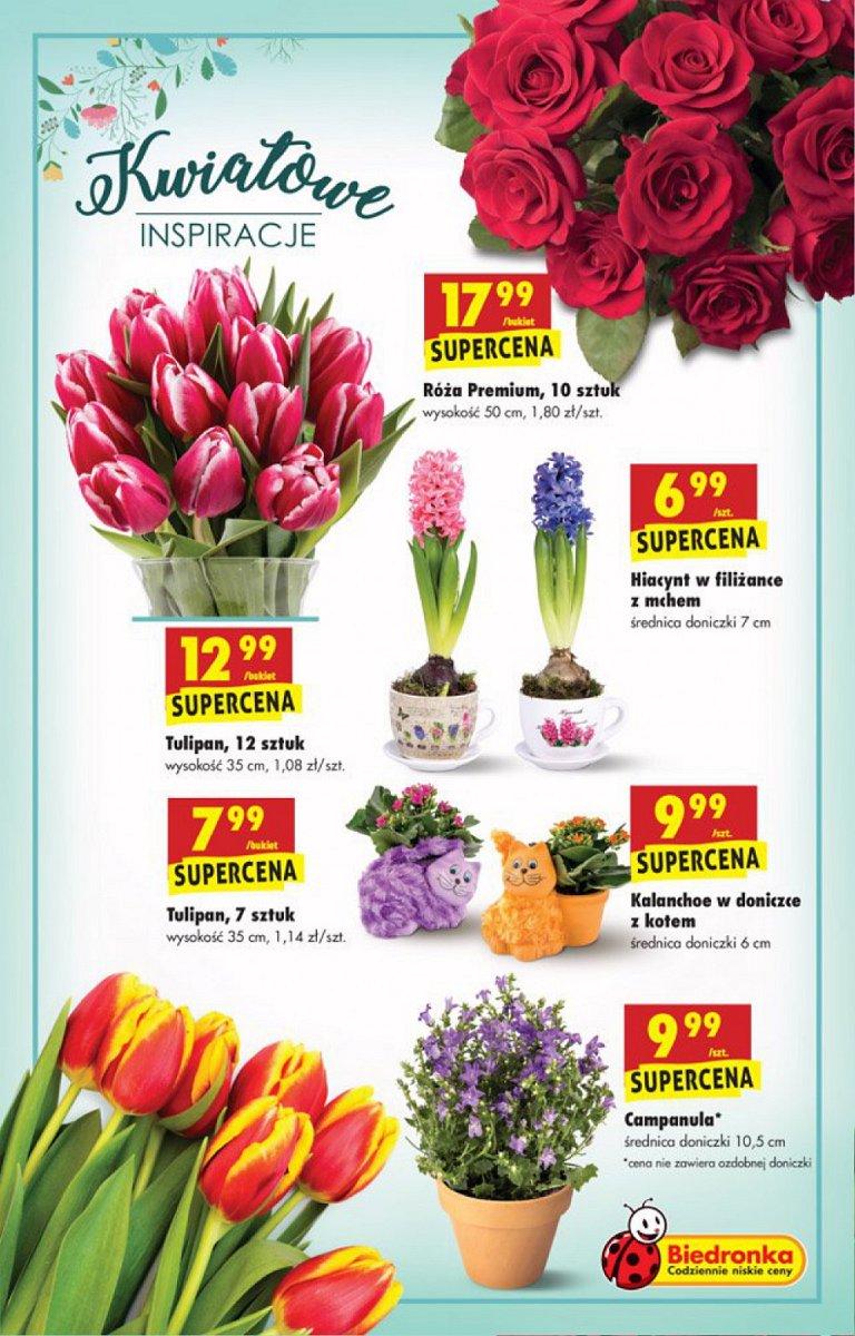 Gazetka promocyjna Biedronka str. 41
