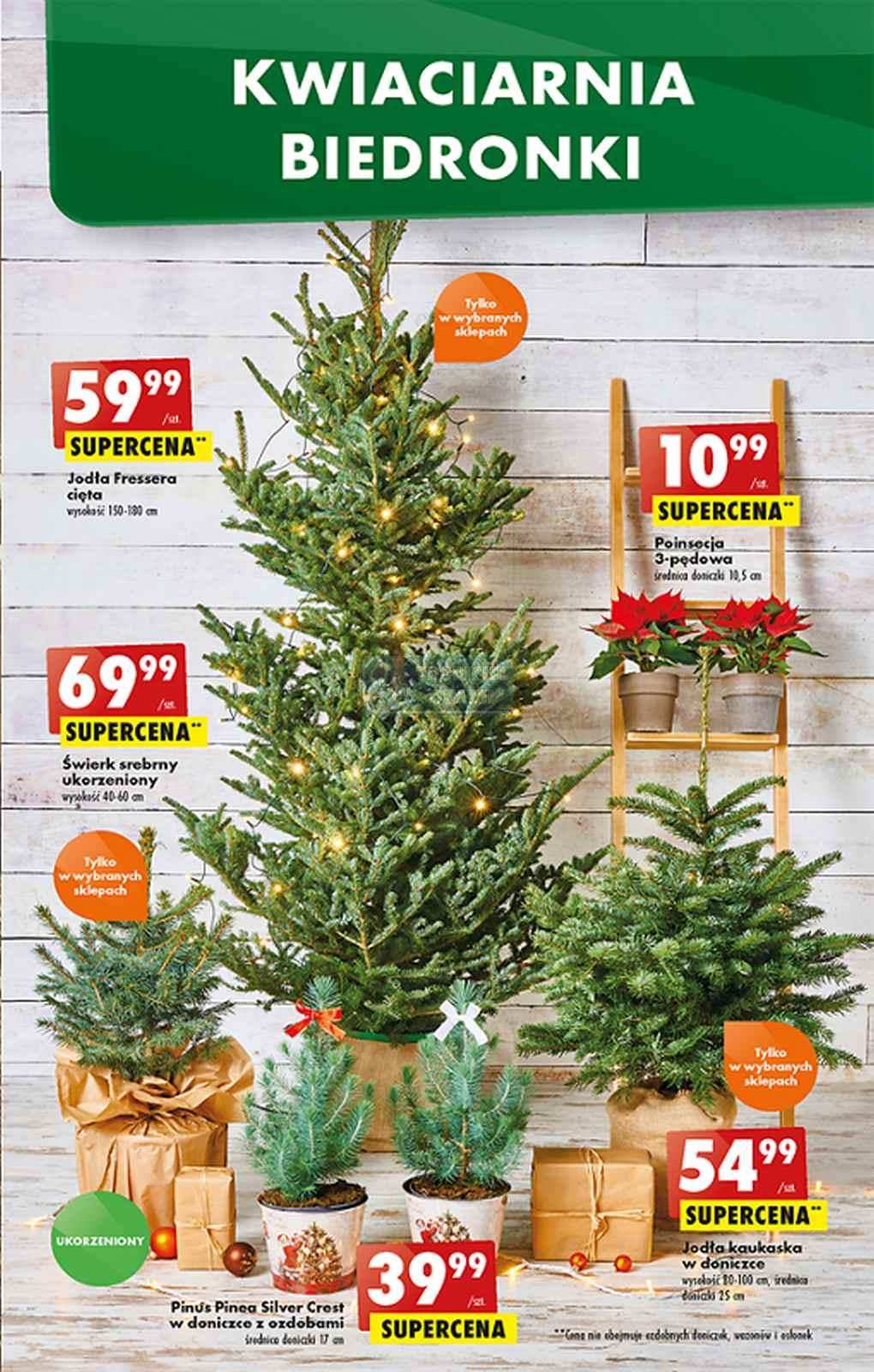 Gazetka promocyjna Biedronka str. 19