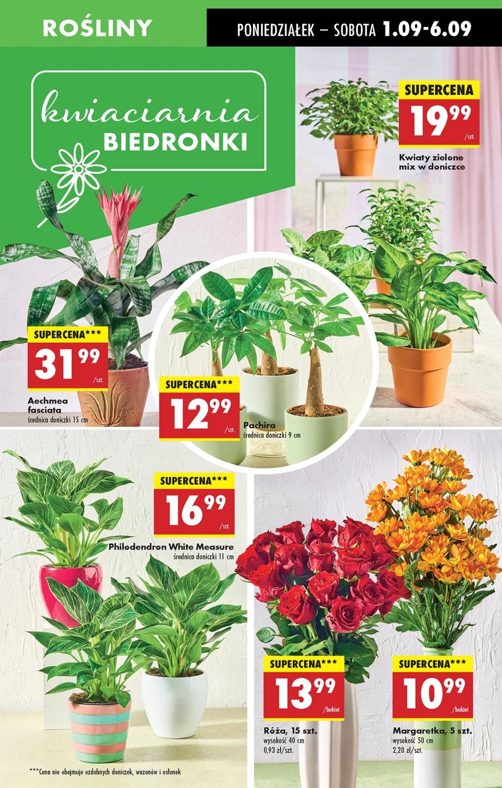 Gazetka promocyjna Biedronka str. 16