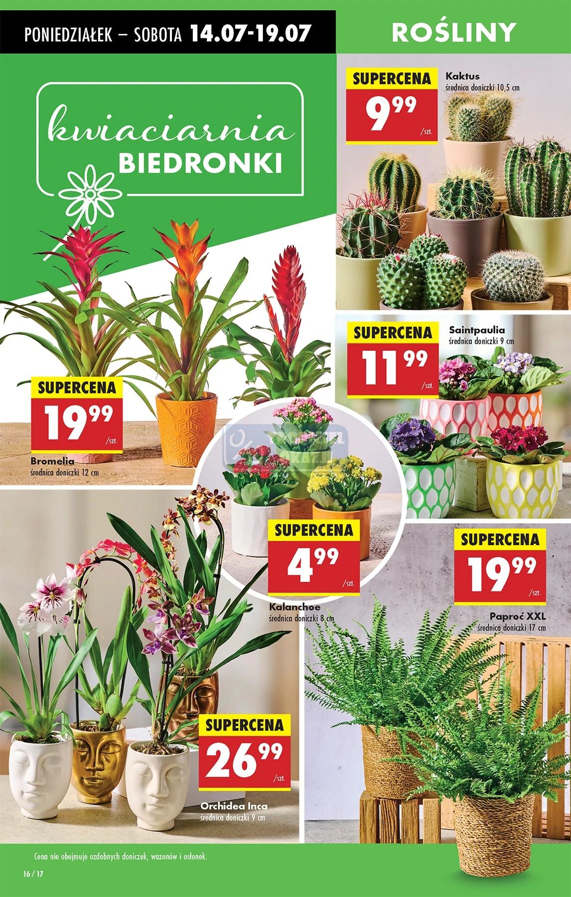 Gazetka promocyjna Biedronka str. 18