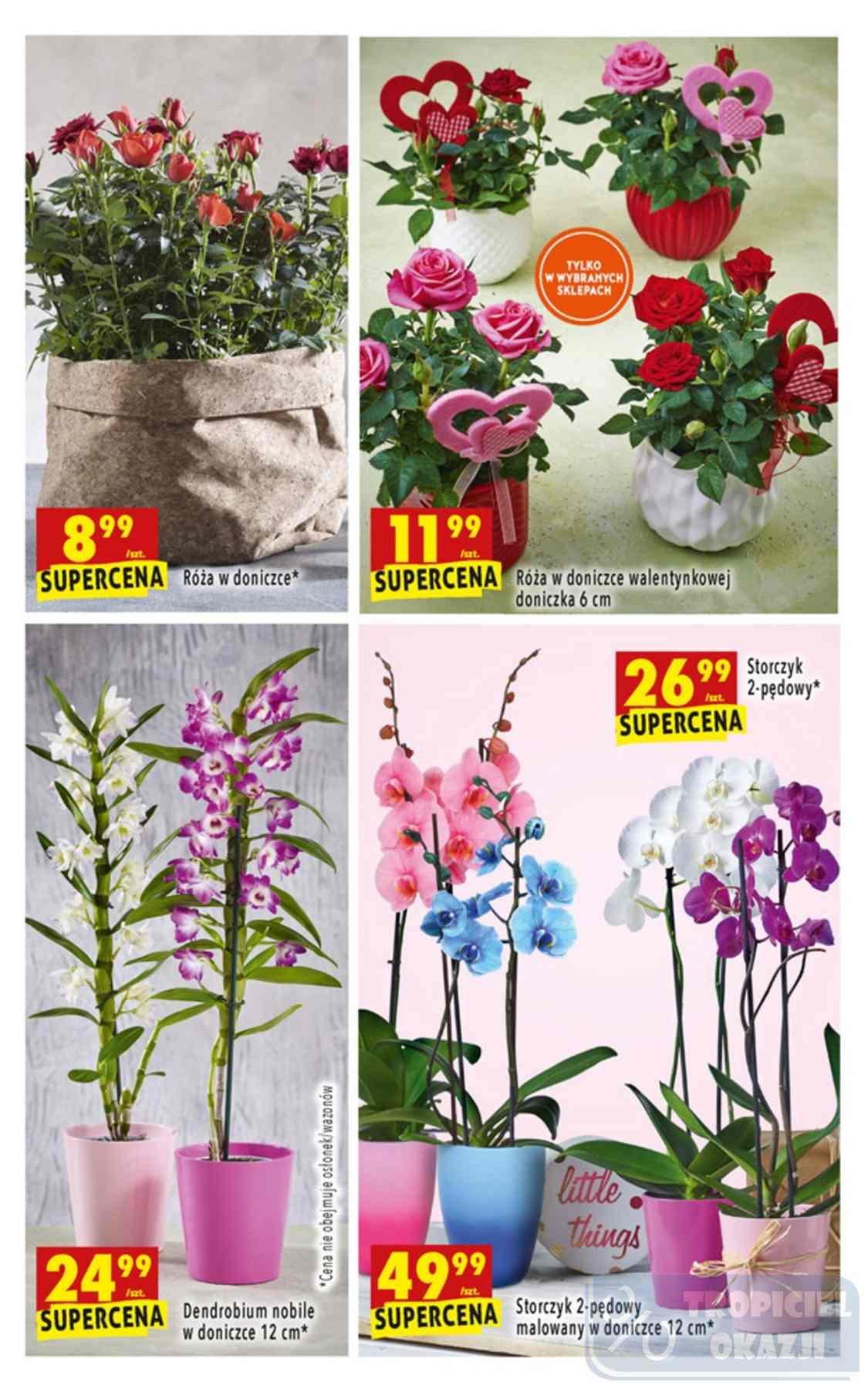 Gazetka promocyjna Biedronka str. 63