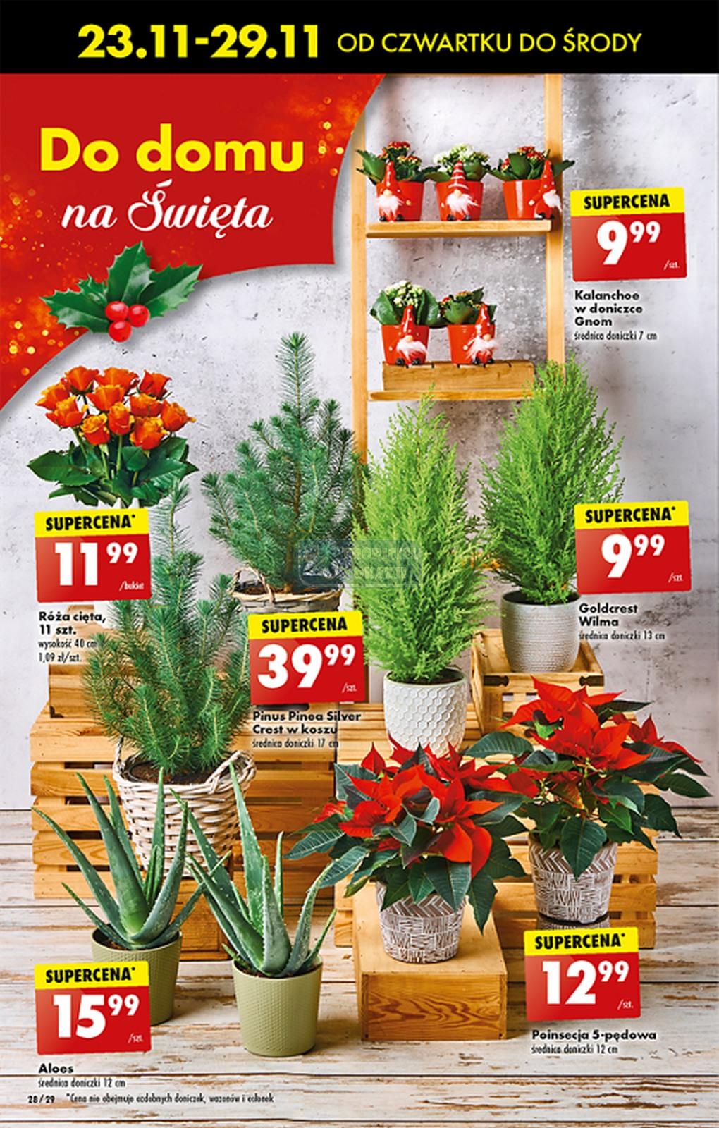 Gazetka promocyjna Biedronka str. 27