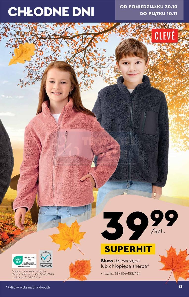 Gazetka promocyjna Biedronka str. 13