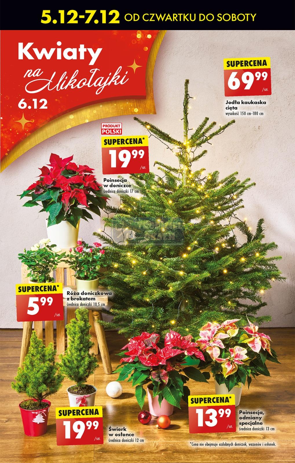 Gazetka promocyjna Biedronka str. 13