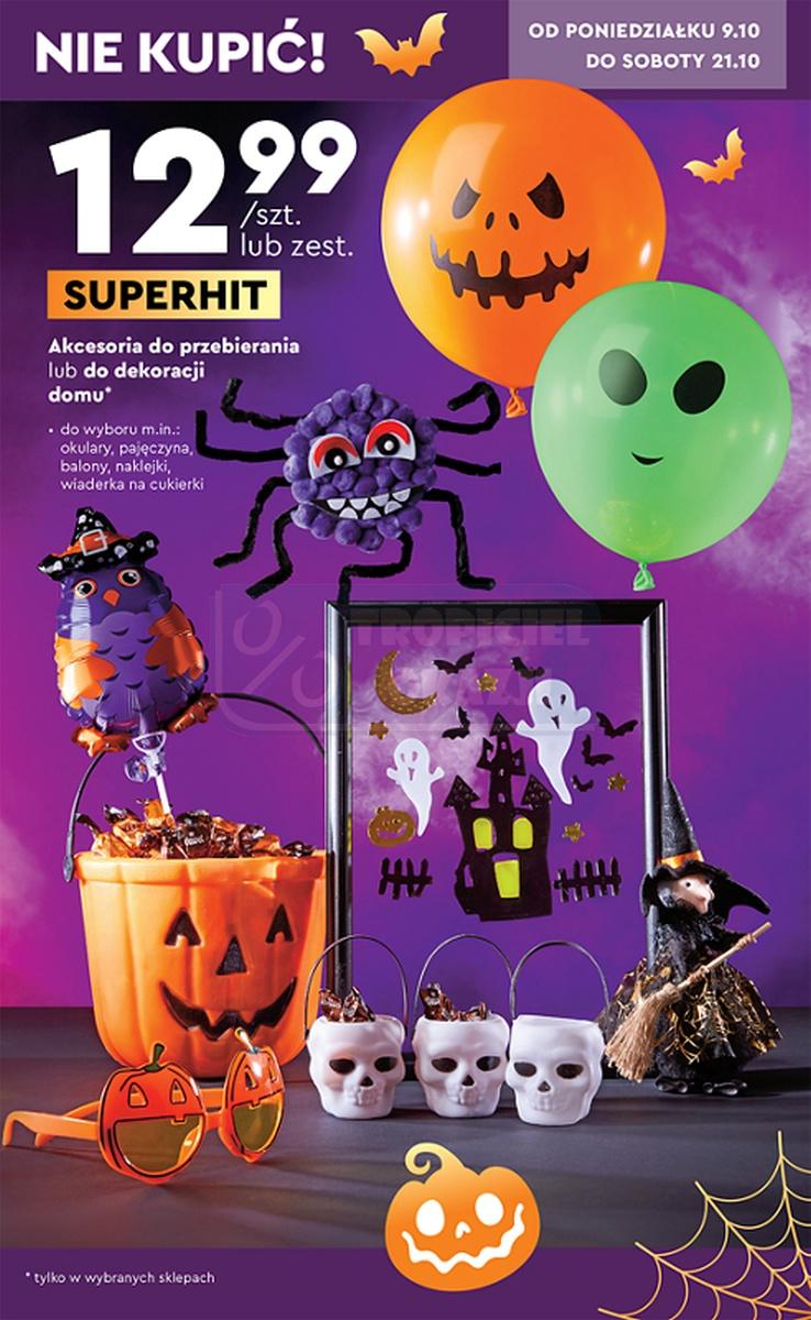 Gazetka promocyjna Biedronka str. 15