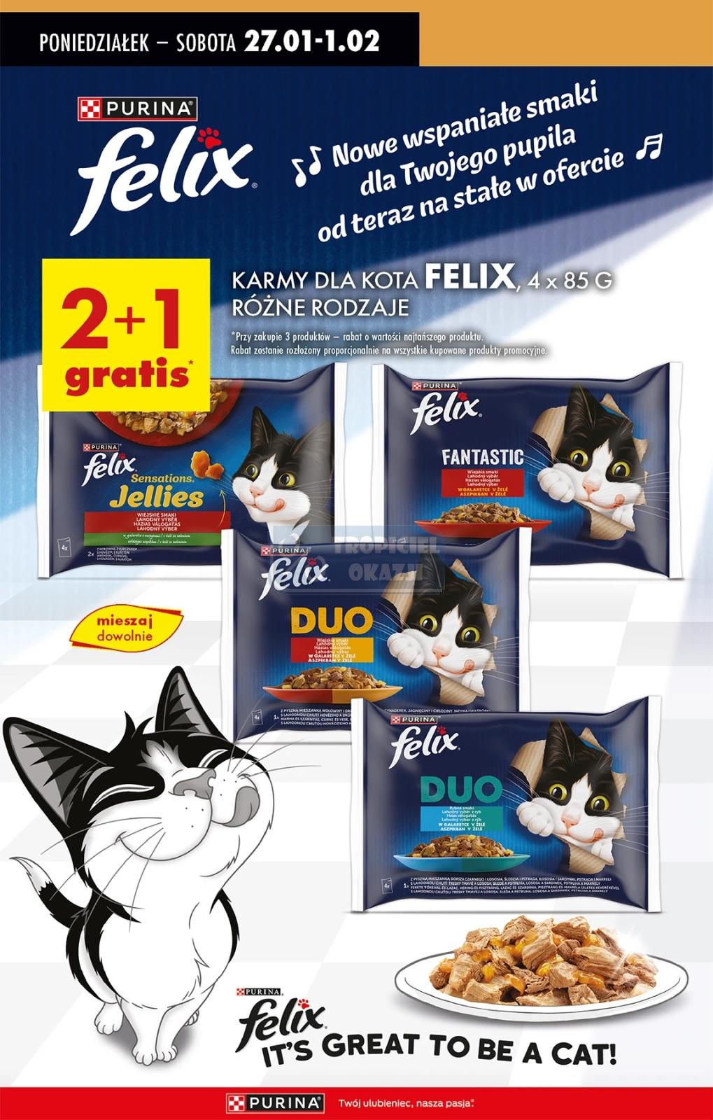 Gazetka promocyjna Biedronka str. 70