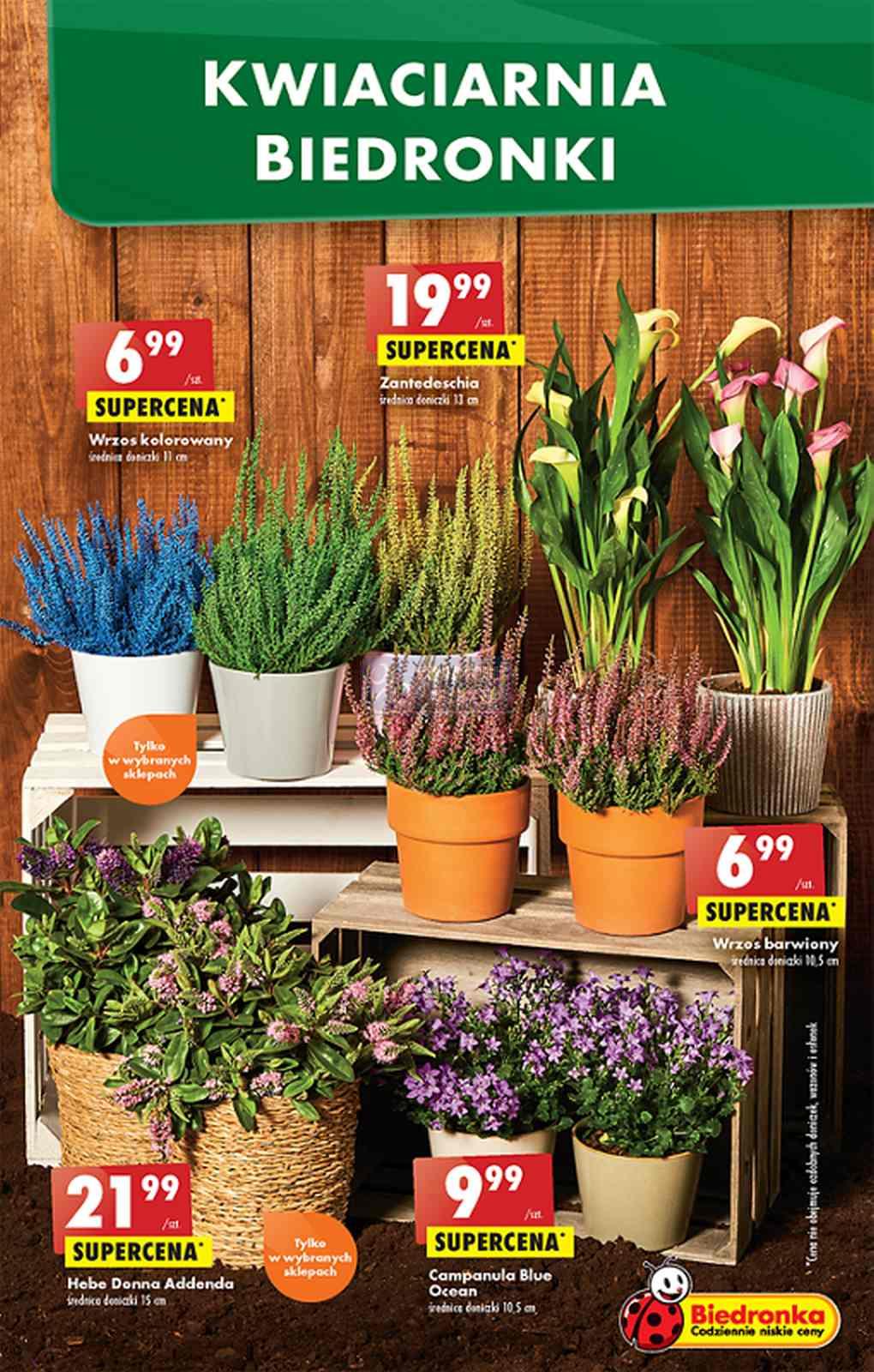 Gazetka promocyjna Biedronka str. 9