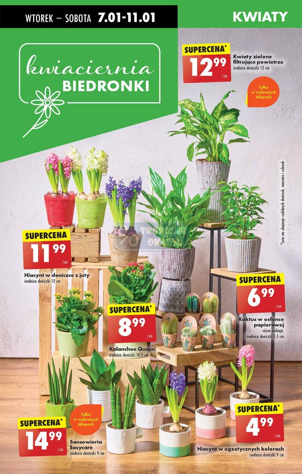 Gazetka promocyjna Biedronka str. 72