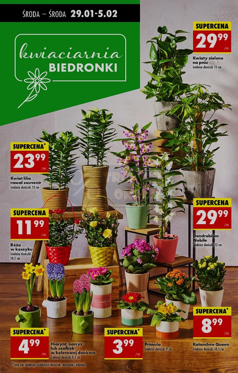 Gazetka promocyjna Biedronka str. 48