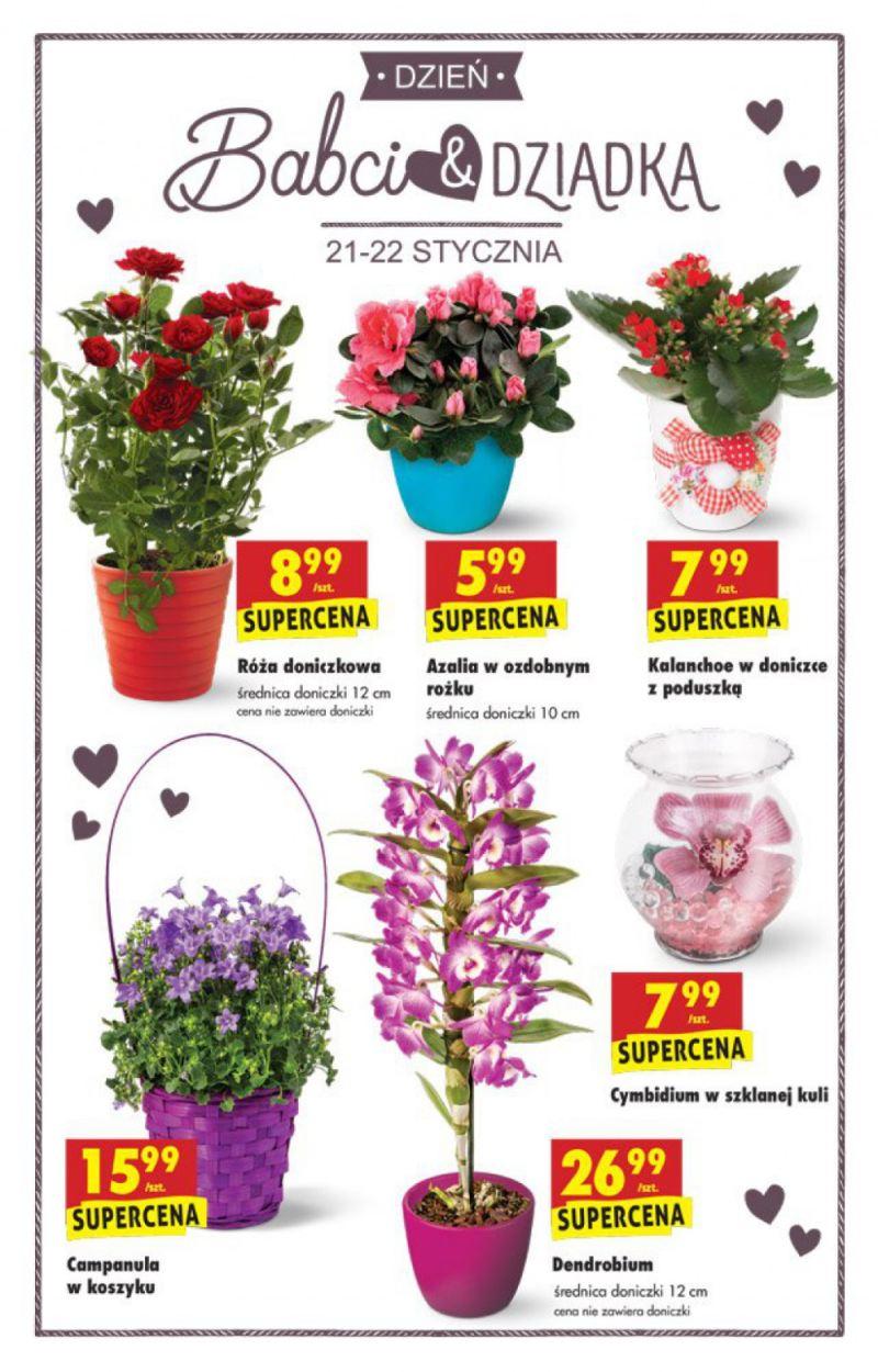 Gazetka promocyjna Biedronka str. 6