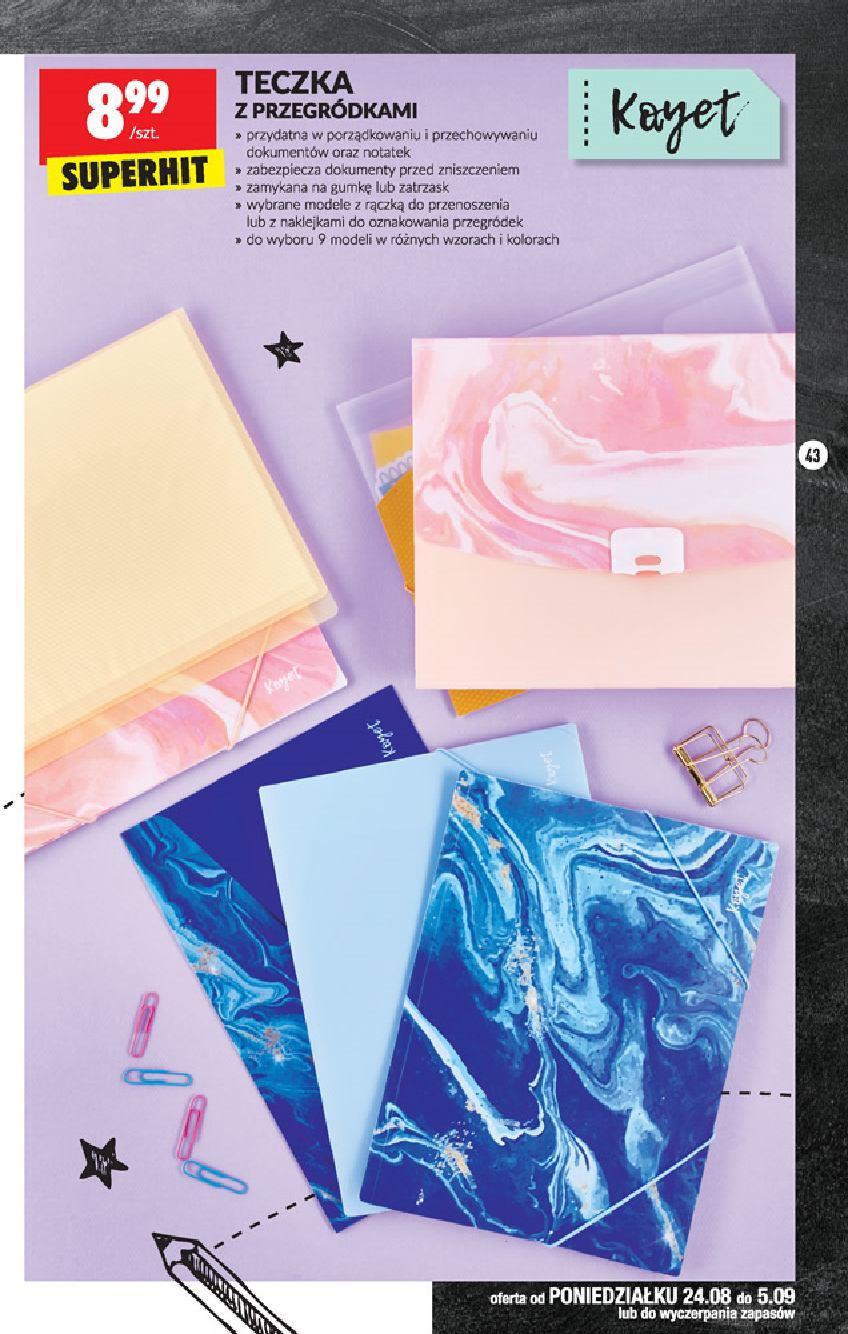 Gazetka promocyjna Biedronka str. 43