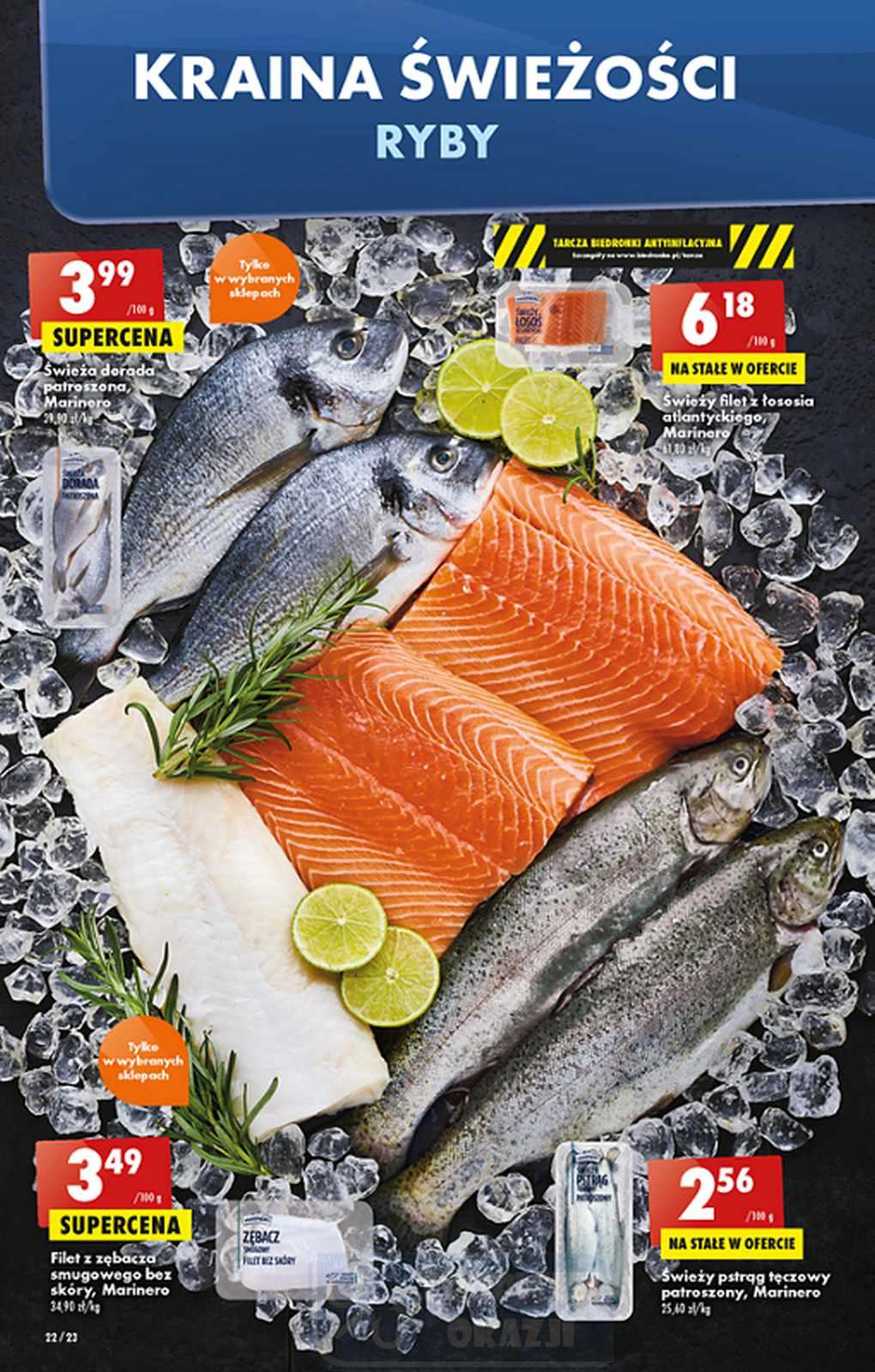 Gazetka promocyjna Biedronka str. 22