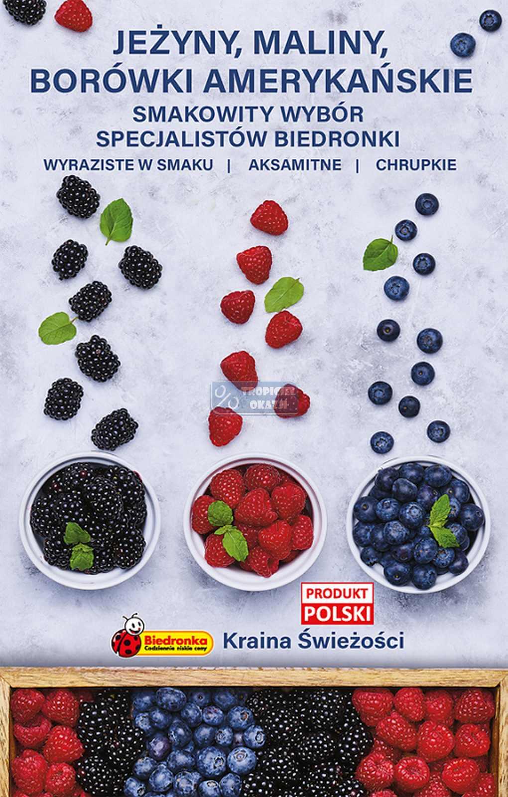 Gazetka promocyjna Biedronka str. 52