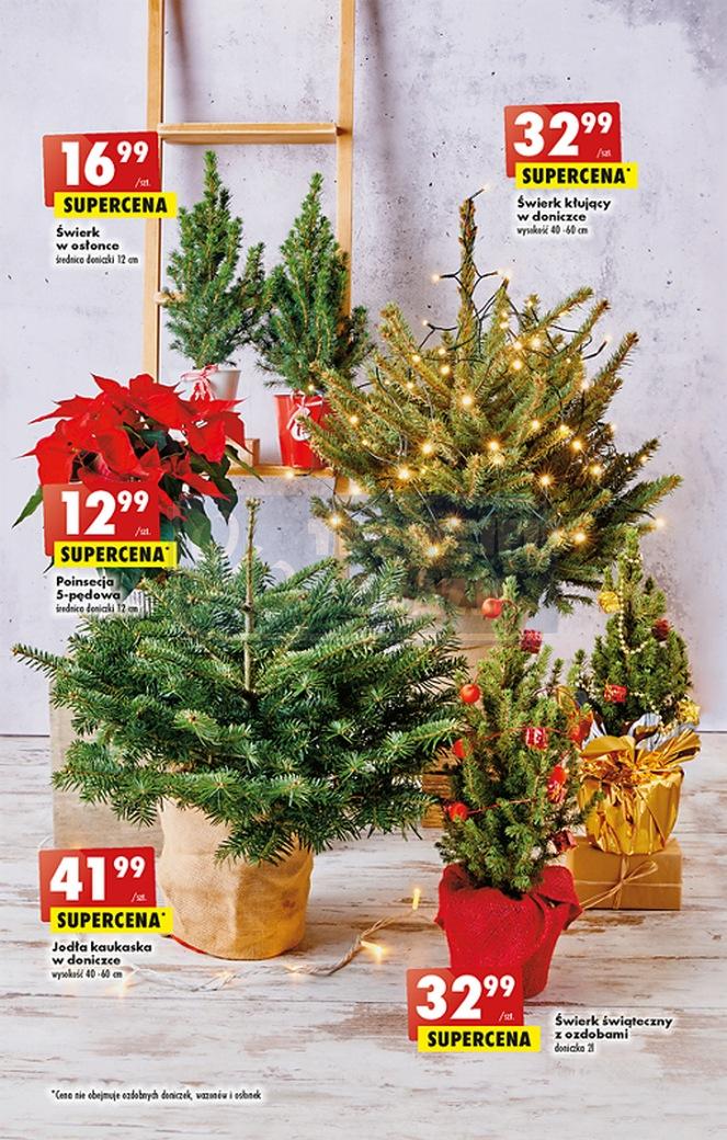 Gazetka promocyjna Biedronka str. 57