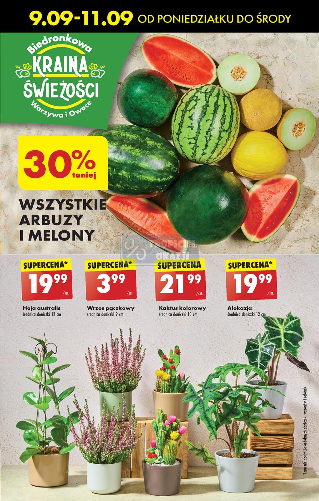 Gazetka promocyjna Biedronka str. 22