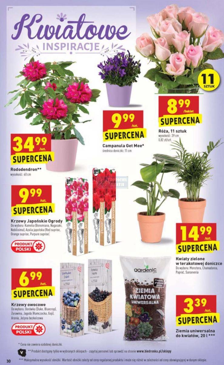 Gazetka promocyjna Biedronka str. 30
