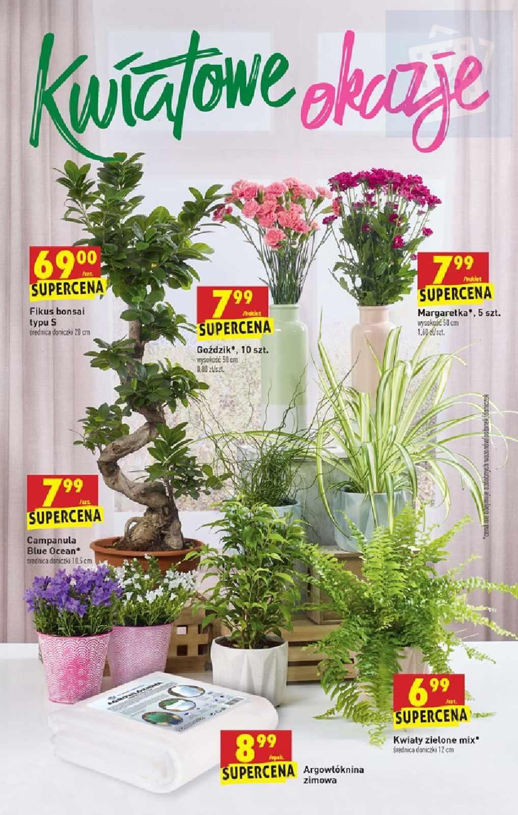 Gazetka promocyjna Biedronka str. 56