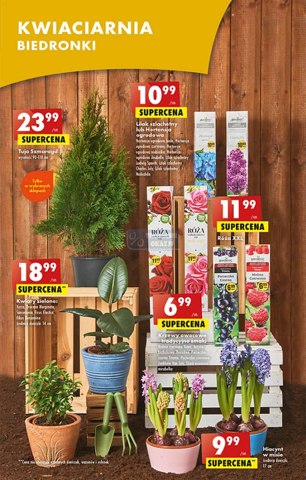 Gazetka promocyjna Biedronka str. 23