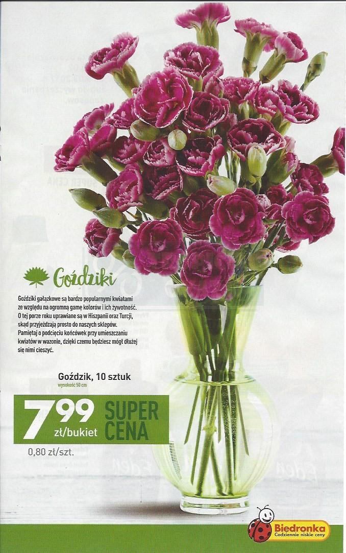 Gazetka promocyjna Biedronka str. 23