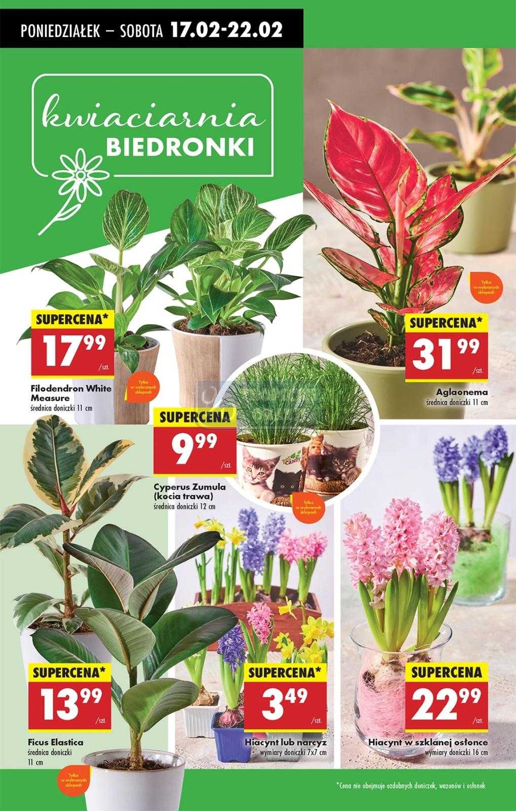 Gazetka promocyjna Biedronka str. 63