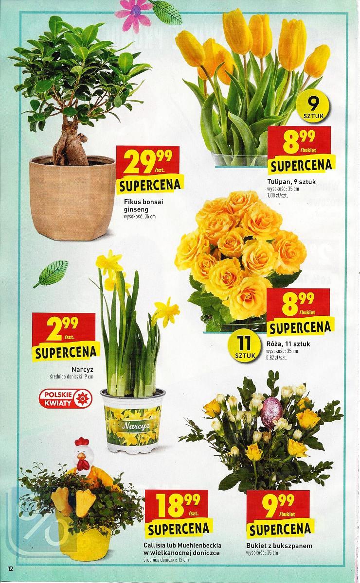 Gazetka promocyjna Biedronka str. 13