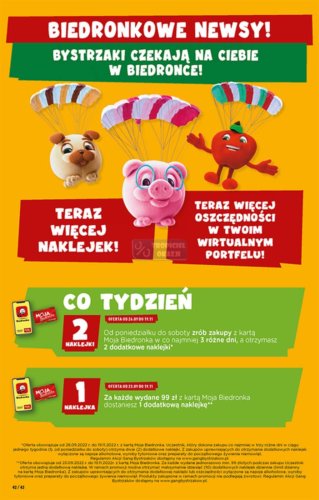 Gazetka promocyjna Biedronka str. 42