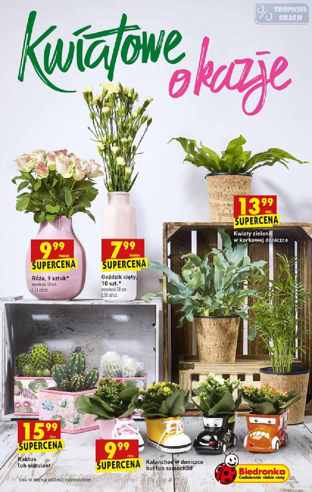 Gazetka promocyjna Biedronka str. 61