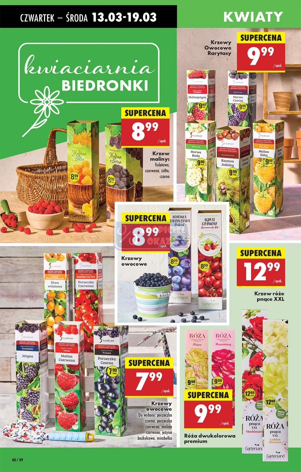 Gazetka promocyjna Biedronka str. 50