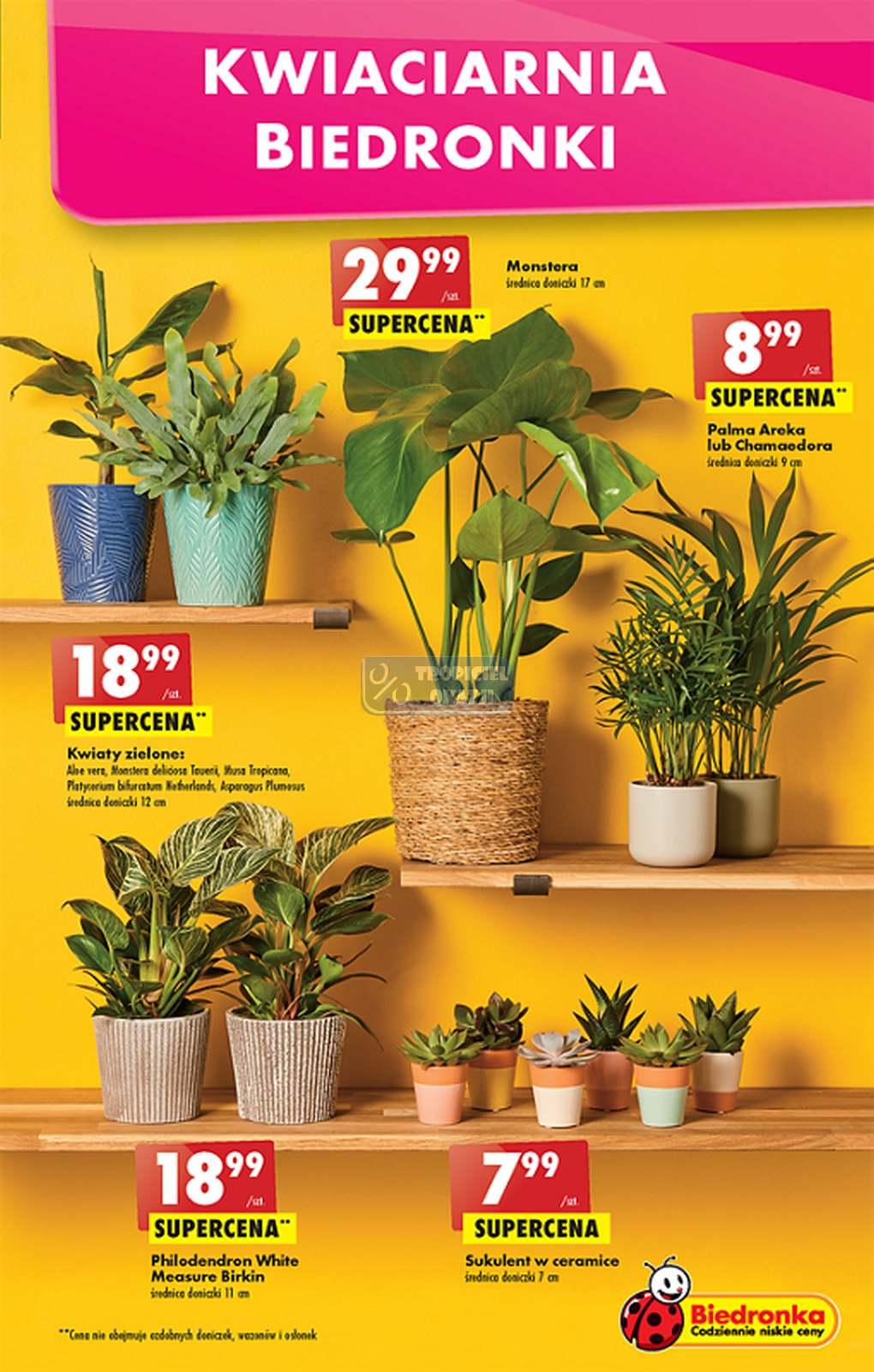 Gazetka promocyjna Biedronka str. 11