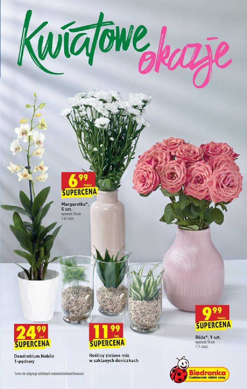 Gazetka promocyjna Biedronka str. 63