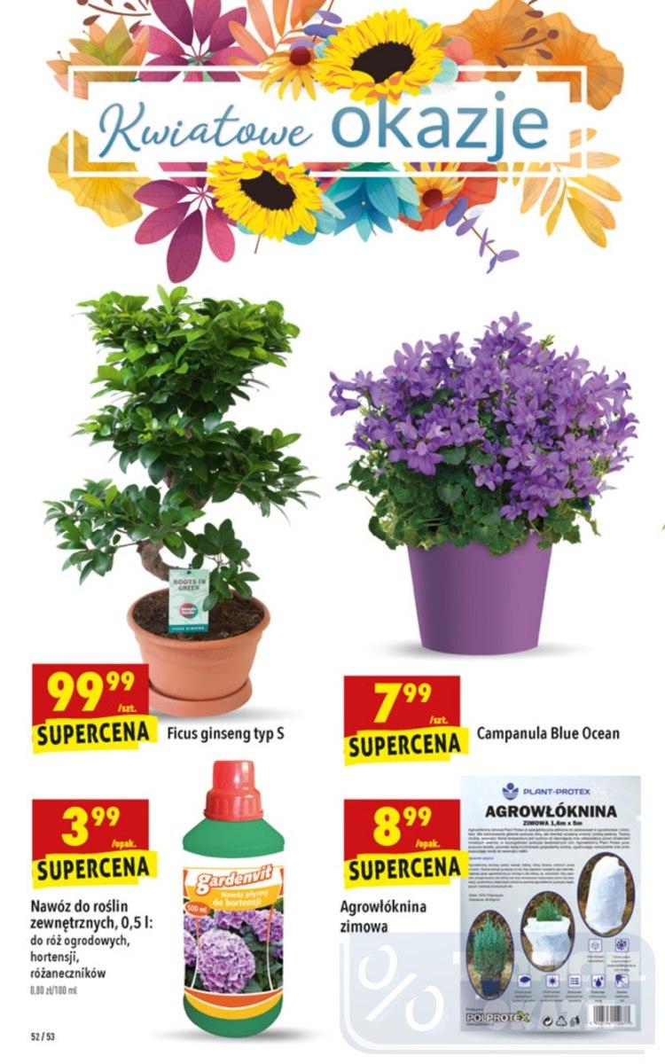 Gazetka promocyjna Biedronka str. 52