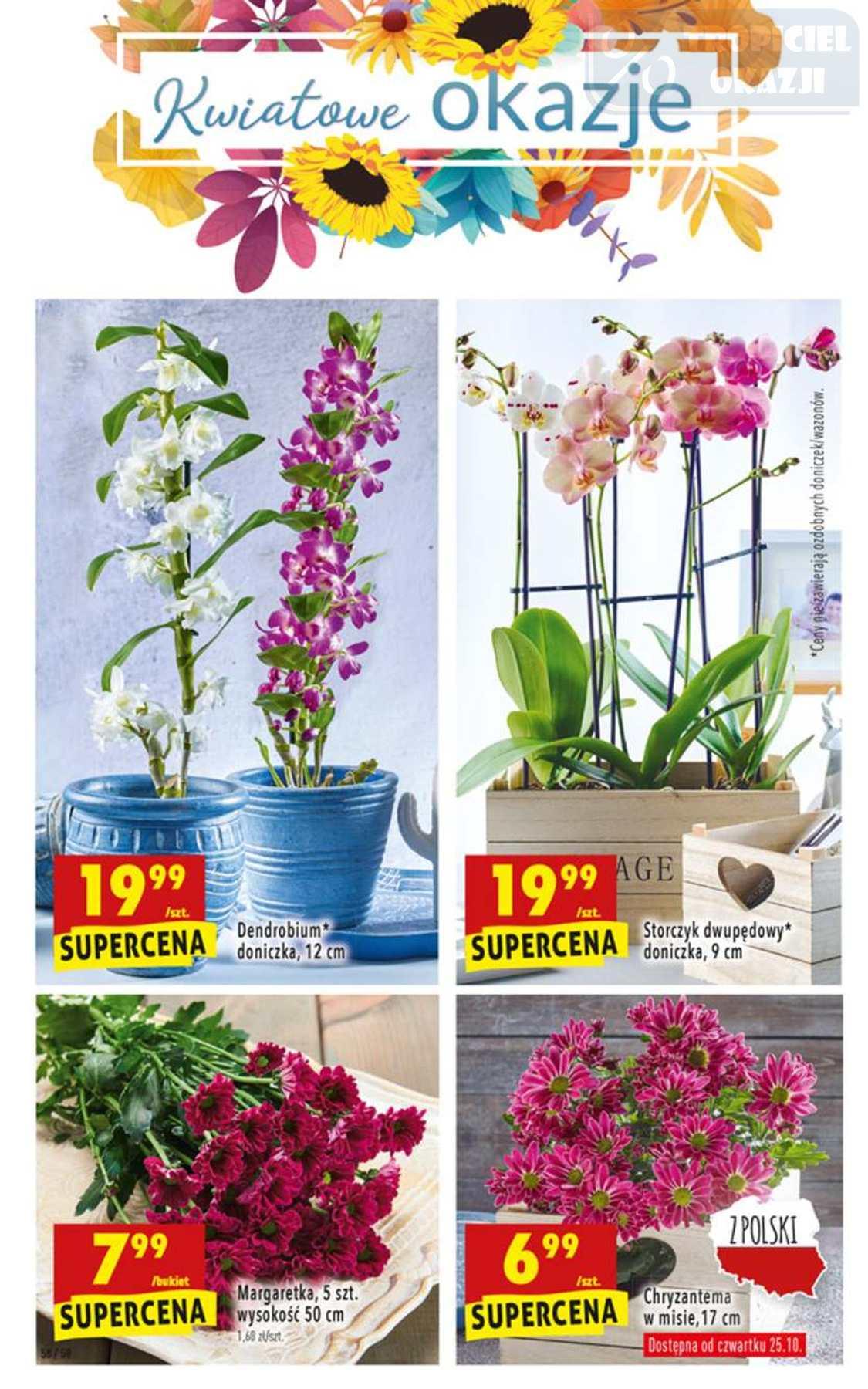 Gazetka promocyjna Biedronka str. 58